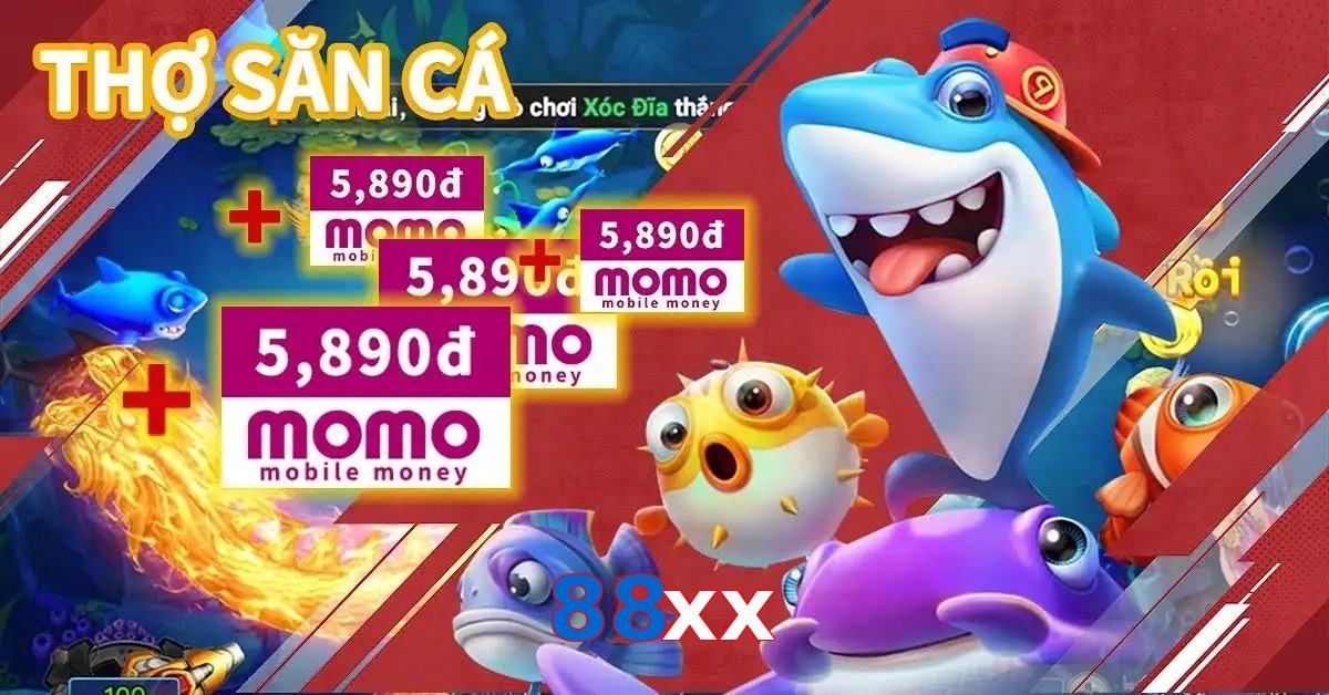 88xx