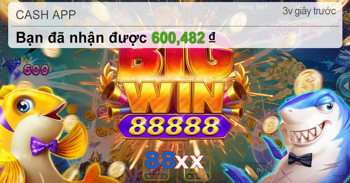 88xx